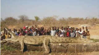 一些你从没见过的巨物照片赏析（第四期）