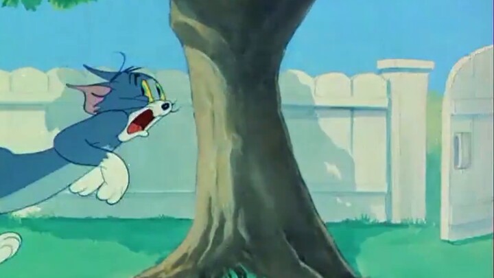 I am Tom!