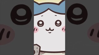 【かわいい】受かりますように #shorts