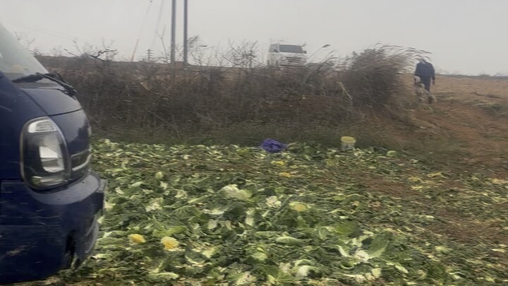 ในวันที่หิมะตก