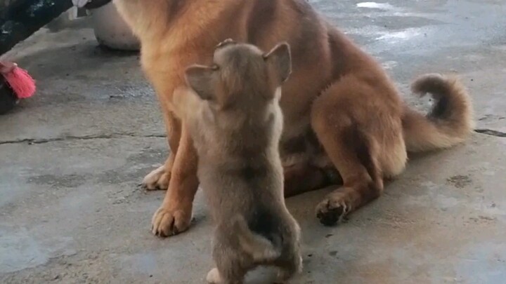 พี่ชาย สนใจหน่อยสิ!