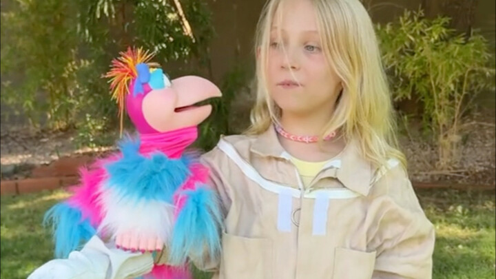 วิธีทำให้นกแก้วบนมือพูดได้