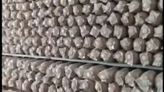 nice