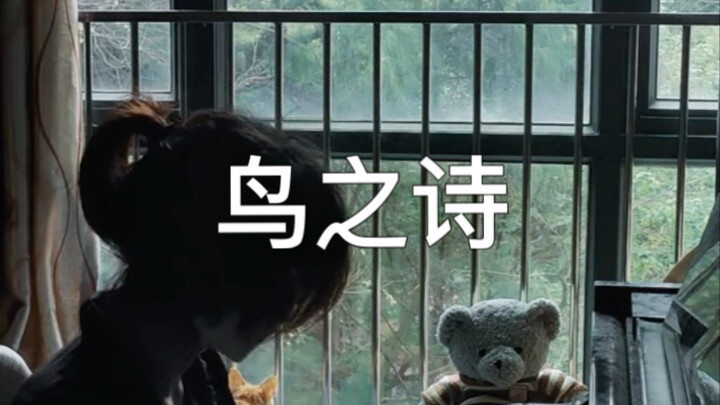 AIR—«Bài thơ của loài chim»