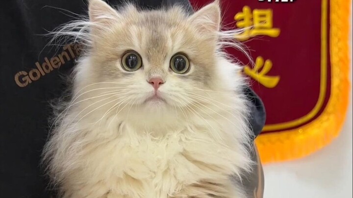 From this parting on, it was a farewell forever.