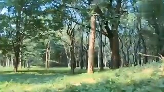 Перл Майя 1