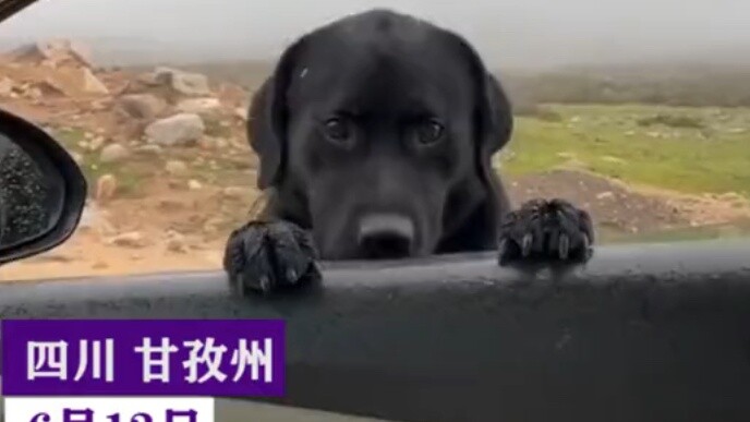 Maybe meeting is fate