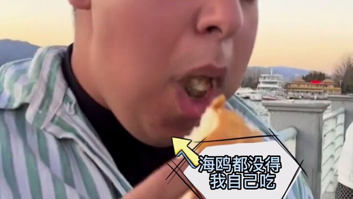 หนุ่มให้อาหารนกนางนวลจนเกือบจะอิ่มแทนตัวเอง แต่กลับไม่เห็นนกนางนวลสักตัวเลยเศร้าใจ