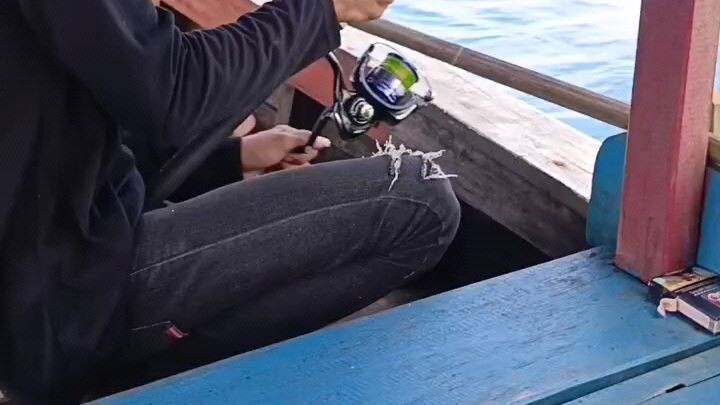 memancing ikan pari