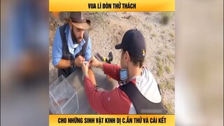 Vua lì đòn thử thách cho những sinh vật kinh dị cắn thử và cái kết-Review review top trending tiktok