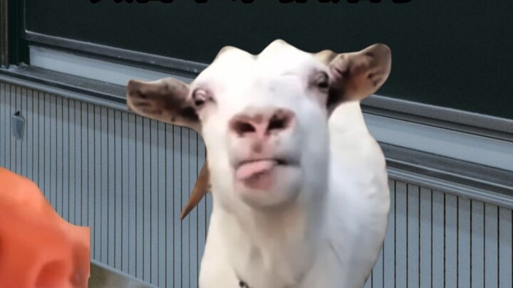 Khi học sinh thanh nhạc bắt đầu hút thuốc Huazi