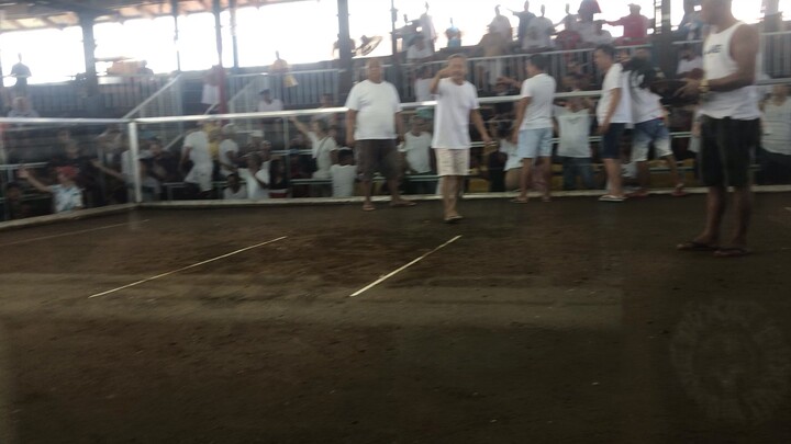 DAMPALIT COCKPIT PANALO PO TAYO JAN MGA BOSS