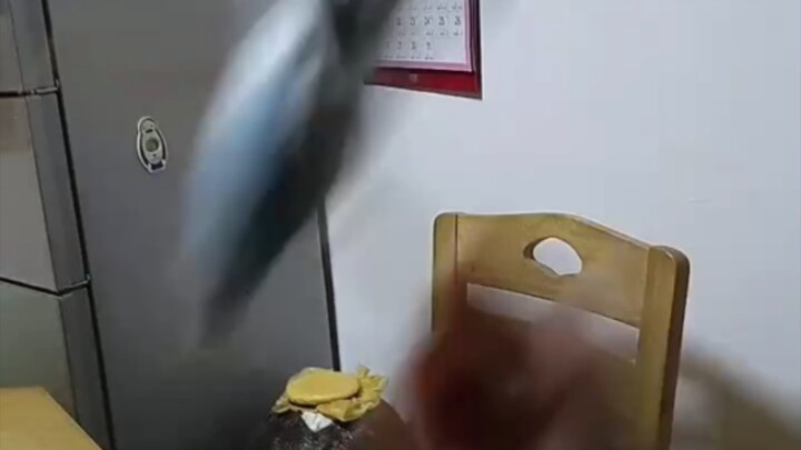 Belum pernah lihat yang sebodoh ini