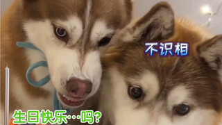 موكا: عيد ميلادي، سعادتك...