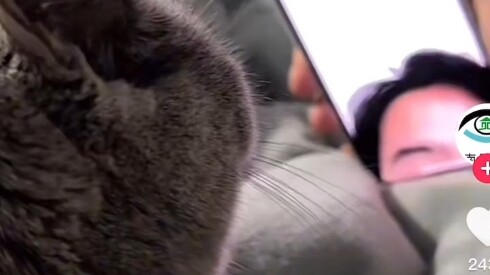 ดูทีไรก็หัวเราะทุกที