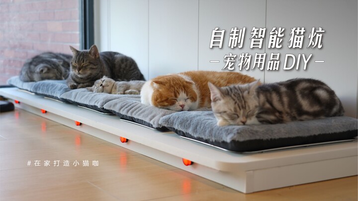 Build a heated bed for your pet! Keep your cat cozy all winter!