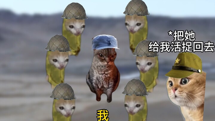 大刀花木兰