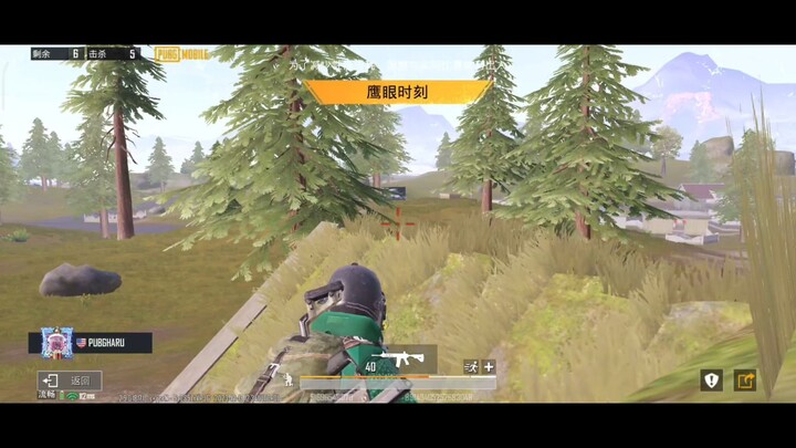 montage