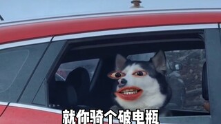 二哈：叫哈总
