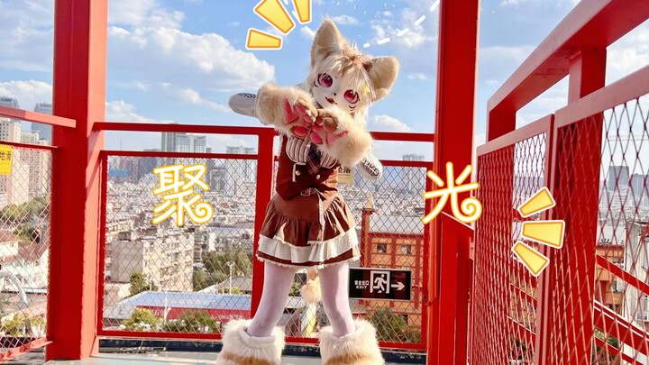元气猫猫正在出动！♡ 啵啵美 ~