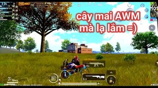 PUBG Mobile - Huyết Nha Cùng Người Lạ | Bo Cuối Quẩy AWM Cực Căng