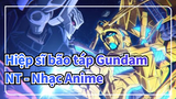 Vigilante | Hiệp sĩ bão táp Gundam NT Nhạc Anime
