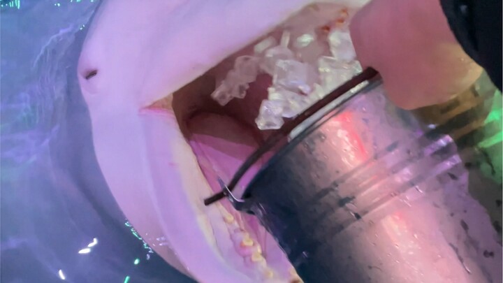 Let's eat ice cubes!