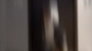 Please accept this little crispy candied sugar treat. Dancing goddess Powered by wild Pokémon