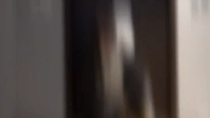 ขนมกรอบน้ำตาลทรายแดงชิ้นเล็กๆ ชิ้นนี้ เชิญรับได้เลย เทพธิดาผู้ร่ายรำ ขับเคลื่อนโดยโปเกมอนป่า