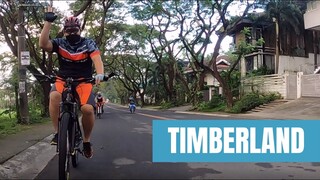 Sir Egay Adventures | Timberland Ride