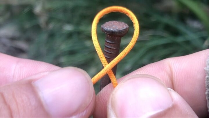 Clever string line hitch #knotshort