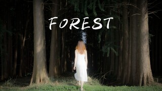 【Film Pendek】Film Pendek Sinematik | Hutan Sungai