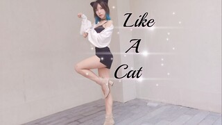 [Huya] Seekor kucing hitam kecil yang penuh nafsu dan murni? Langkah kucing itu lucu❤Seperti Kucing