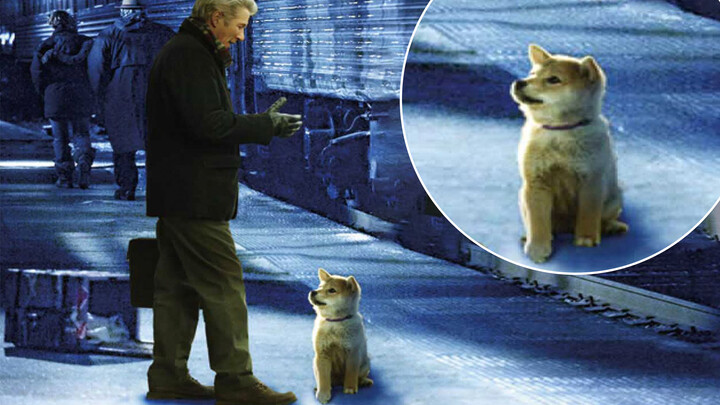 Everyone loves touching vids of doggies