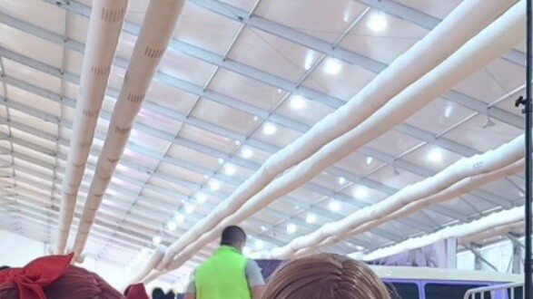 I met my sister at the comic convention.