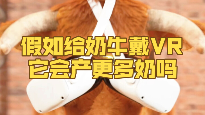 ماذا لو وضعنا سماعة VR على بقرة؟ هل ستنتج حليبًا أكثر؟