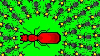 Ant Simulator: Red Ant Kingdom, bạn đang bị bao vây
