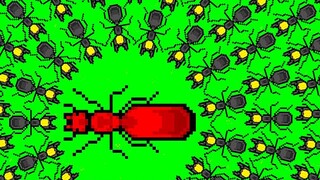 Simulator Semut: Kerajaan Semut Merah, Anda dikelilingi