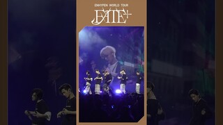[#EN_Clip] Sweet BELMONTPARK 🤫❤️#엔하이픈 #ENHYPEN #EN_WORLDTOUR_FATEPLUS #FATEPLUS_IN_BELMONTPARK