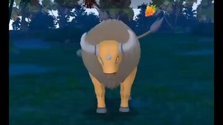 Pokémon GO-XXS Tauros(Weight-46.49kg, Height-0.7m)