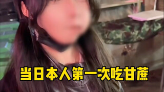 在日本的时候好像确实没见过甘蔗