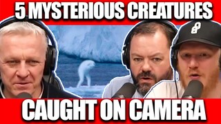 5 Mysterious Creatures Caught on Camera | OFFICE BLOKES REACT!!