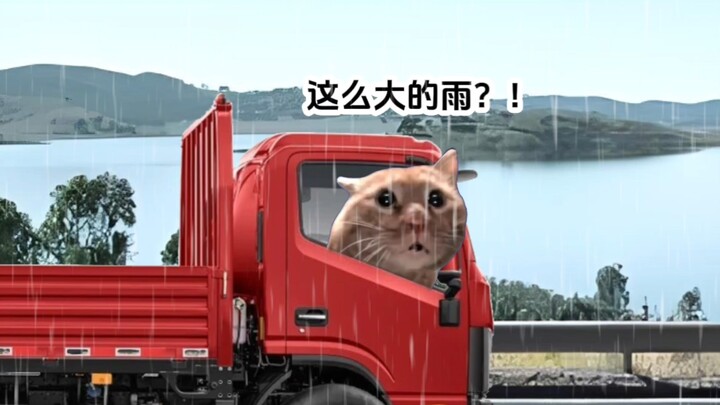 谁说世界上没有诺亚方舟！