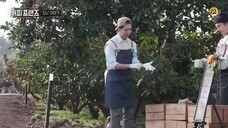 Coffee Friends Ep 06 Sub Indo