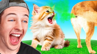 TRY NOT TO LAUGH (Over Dramatic Animals Edition)