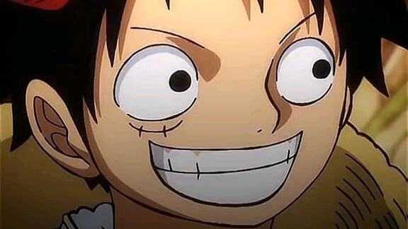 Luffy ikutan Trend😭