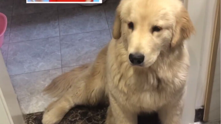 Why doesn't anyone watch our adorable deadbeat George?