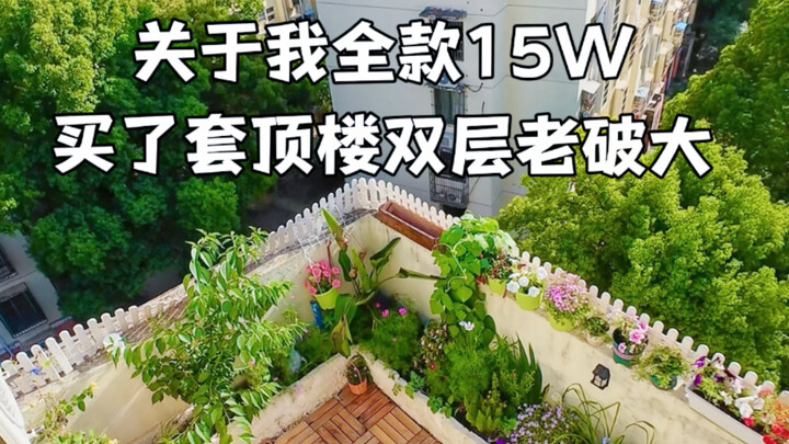 Immersive experience: a full renovation from shell to fully furnished, all on a budget of 20,000.