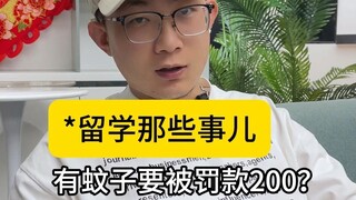 来自留学专家的忠告， 去这些国家留学，一定要注意