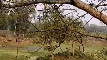 প্রিয়ো নায়ক সালমান শাহা
